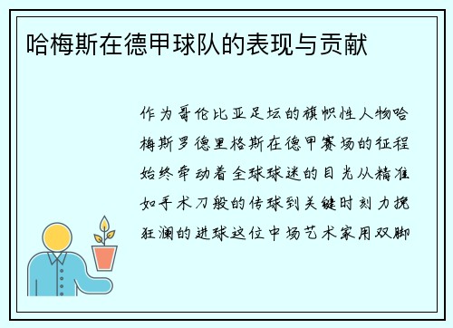 哈梅斯在德甲球队的表现与贡献